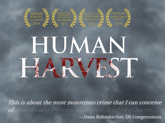 human harvest human harvest