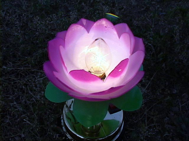 2002-7-20-lotuslight0719 2002-7-20-lotuslight0719