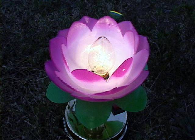 2002-7-20-lotuslight0719
