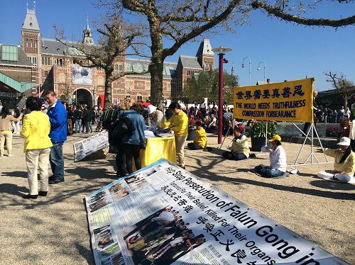 The Rijksmuseum, the Falun Dafa practitioners held activities at the Museum Square, Dutch National Museum, on April 8, 2017.