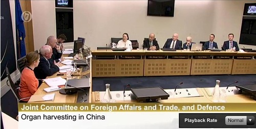 Hearing on Forced Organ Harvesting in China by the Joint Committee on Foreign Affairs and Trade, and Defence in the Irish Parliament on July 6, 2017.