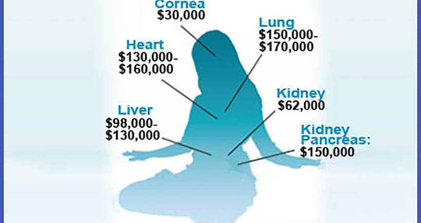organ-harvesting-profits