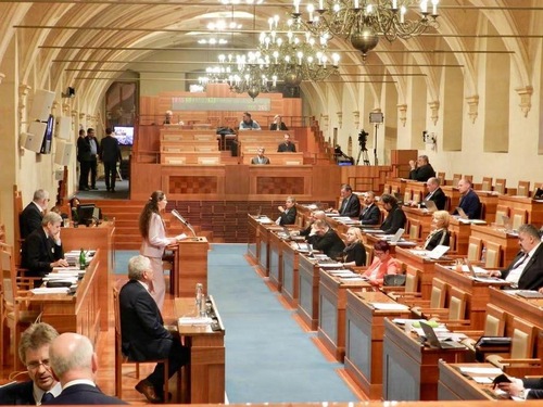 Ms. Veronika Sunova, chair of the Czech Falun Dafa Association, speaks at the Senate hearing.