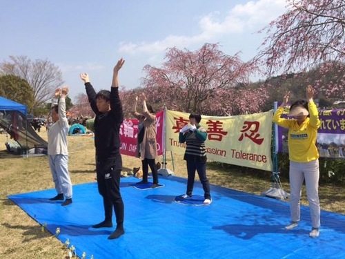 a2cce82789d98e60e05fd8d8e725b257 Practicing Falun Gong in Suigen Park during the Cherry Blossom Festival.