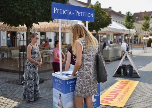The Falun Dafa stall where information was readily available to visitors.