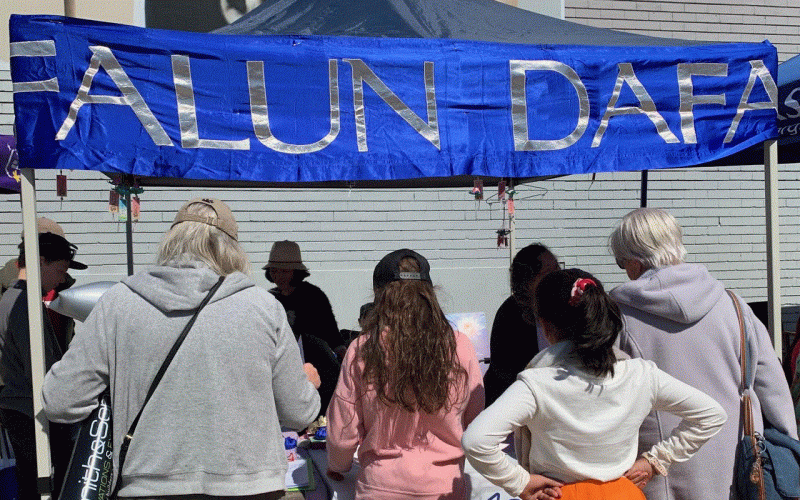 spring into Corrimal Falun Dafa stall at Spring into Corrimal, 8th September 2019.