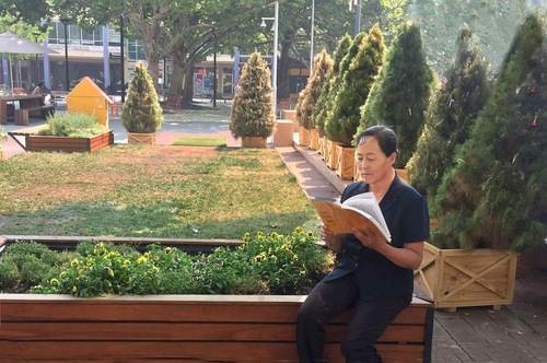 Xiaoyu reading Zhuan Falun.