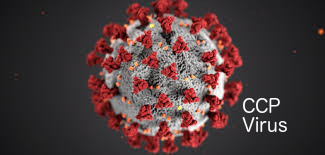 CCP-virus