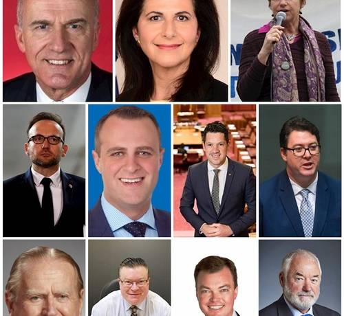 Elected officials who participated in the online rally. (top row, left to right) Federal Senator Eric Abetz for Tasmania representing the Liberal Party, Senator for New South Wales (NSW) Concetta Fierravanti-Wells representing the Liberal Party, and Senator Janet Rice for Victoria; (middle row) Federal MP Adam Bandt for Victoria who is also Leader of the Australian Greens, MP Tim Wilson for Victoria, Senator Alex Antic for South Australia, and MP George Christensen for Queensland; (bottom row) Member of the NSW Legislative Council and ordained Christian minister Fred Nile, Member of the NSW Legislative Council Bernie Finn, Member of the NSW Legislative Council Edward O’Donohue, and Member of the Western Australian Legislative Council Robin Scott MLC.