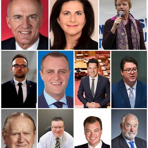 f86b55b4d21023ab2d40d57a88be5af6 Elected officials who participated in the online rally. (top row, left to right) Federal Senator Eric Abetz for Tasmania representing the Liberal Party, Senator for New South Wales (NSW) Concetta Fierravanti-Wells representing the Liberal Party, and Senator Janet Rice for Victoria; (middle row) Federal MP Adam Bandt for Victoria who is also Leader of the Australian Greens, MP Tim Wilson for Victoria, Senator Alex Antic for South Australia, and MP George Christensen for Queensland; (bottom row) Member of the NSW Legislative Council and ordained Christian minister Fred Nile, Member of the NSW Legislative Council Bernie Finn, Member of the NSW Legislative Council Edward O’Donohue, and Member of the Western Australian Legislative Council Robin Scott MLC.