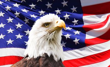 US Eagle