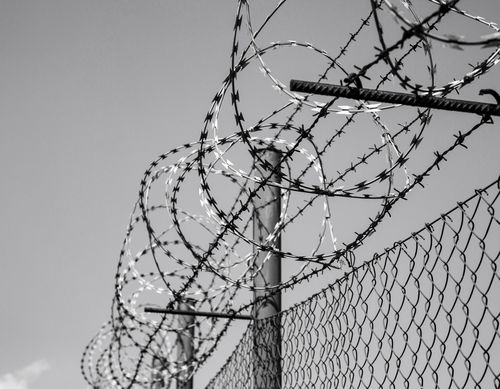 barbed wire barbed wire