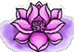 Lotus Flower Lotus Flower