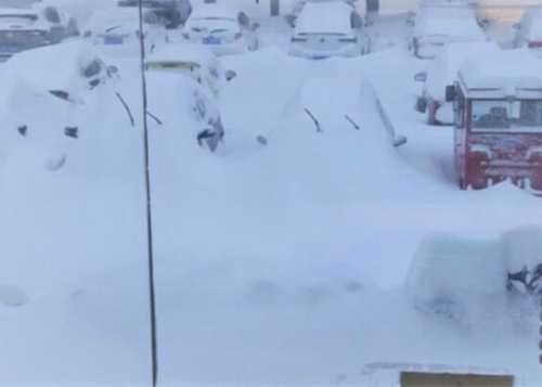 Severe snow downpour  in Northeast China.