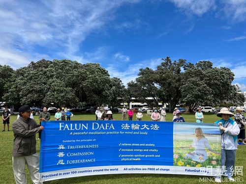Practitioners held group exercises outdoors in various places in Auckland on November 21.