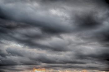 pexels-brett-sayles-3766107