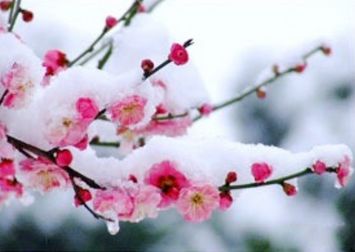 snow