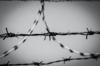 wire