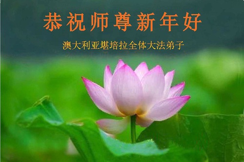 New Year greeting card from practitioners in Canberra