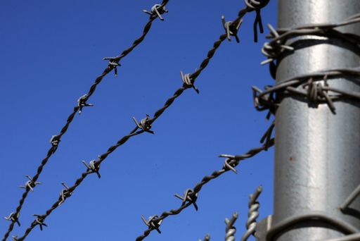 barbed wire