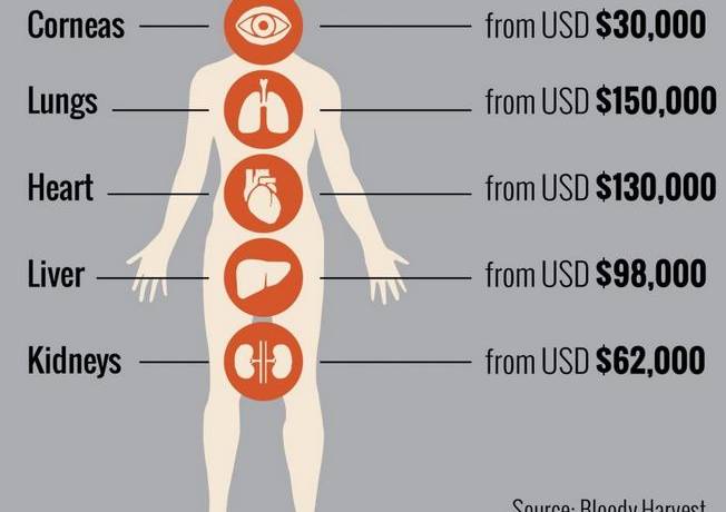 live organ harvest prices