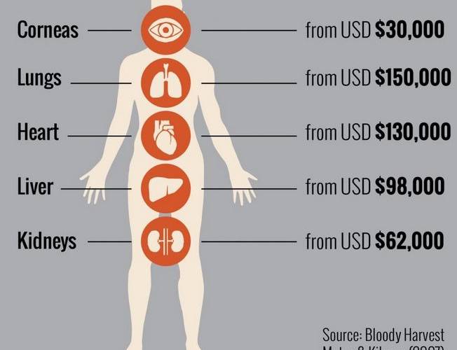 live organ harvest prices