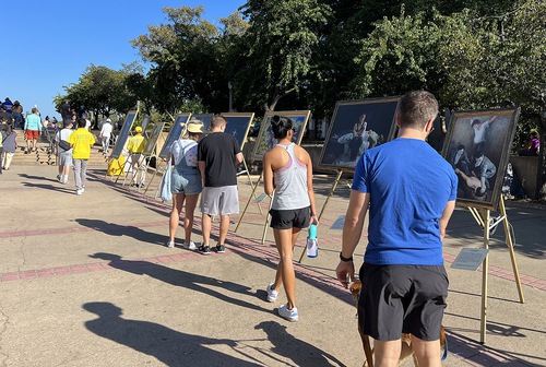 Passersby take in the artworks.