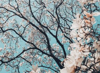 (Unsplash)
