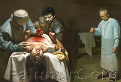 forced organ harvesting