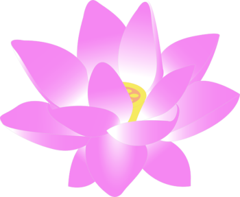 flower-g42d9543a4_640