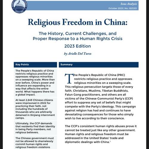 Screenshot of the first page of the report