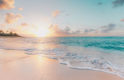 (unsplash)