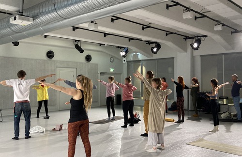 Visitors at the Jooga Festival Helsinki learn how to do the Falun Dafa exercises.