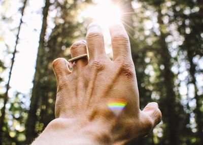 (unsplash)