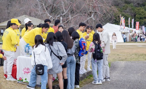 Practitioners hand out Falun Dafa fliers and pamphlets to visitors during the 2024 Cherry Blossom Festival.