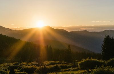 sunset