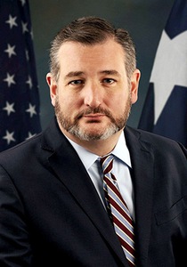 Senator Ted Cruz