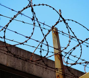 barbed wire