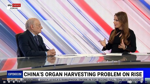David Matas was interviewed by Sky News Australia on June 21, 2024 (Screenshot Sky News Australia)