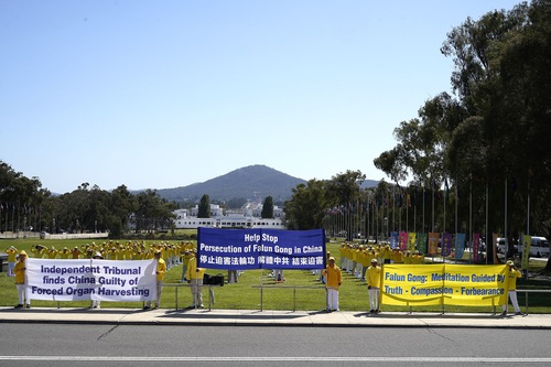 Falun Dafa practitioners called on the Federal government to put an end to the CCP’s forced live organ harvesting during events in front of the Parliament House in Canberra on November 4-7, 2024.