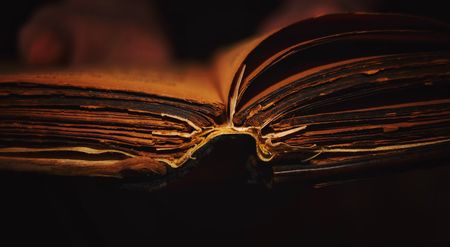 (unsplash)